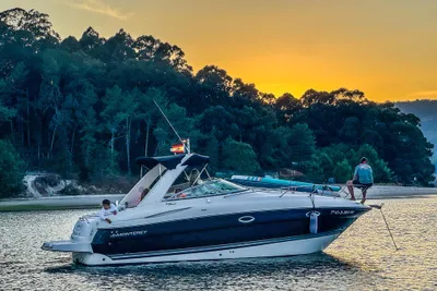 2008 Monterey 295