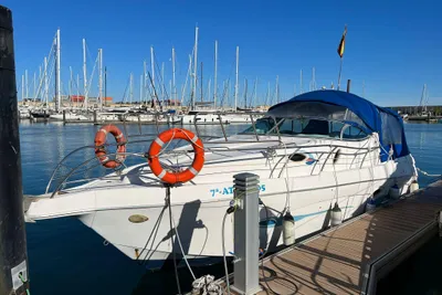 2005 Lema Duna 290