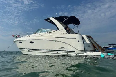 Chaparral 310 Signature