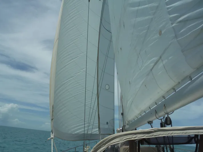 Ticket To Yacht Photos Pics 