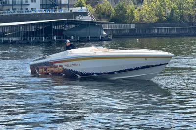 Excel Scarab 43