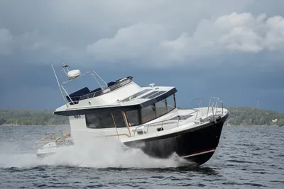 Targa Targa 41