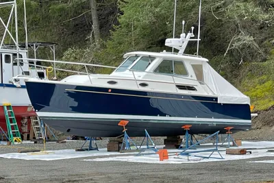 Back Cove 29