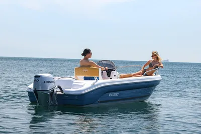 2026 Ranieri SHARK 19