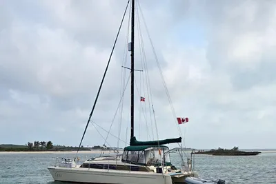 Prout Snowgoose 37
