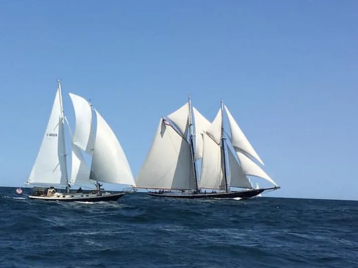 Light Reign Yacht Photos Pics Two Cherubini Schooners sailing on the ocean under clear blue skies.