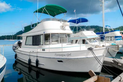 Camano 31