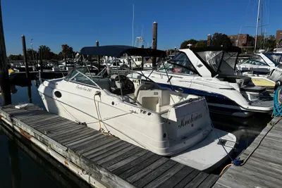 Rinker Fiesta Vee 250
