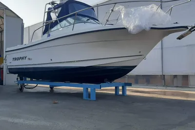 2002 Bayliner Trophy Pro
