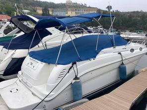 1999 Sea Ray Sea Ray 260 Sundancer