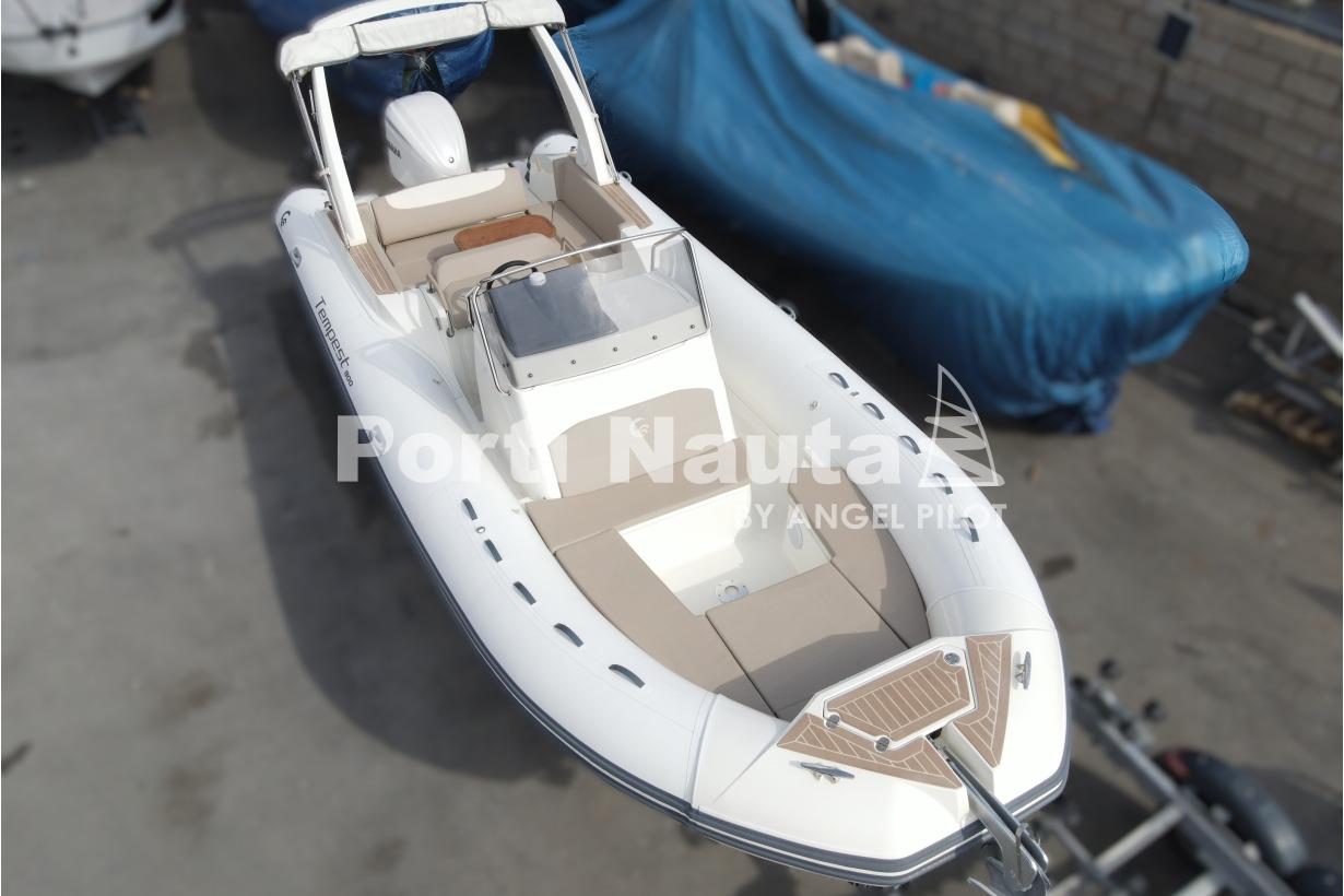 2023 Capelli TEMPEST 800 sun