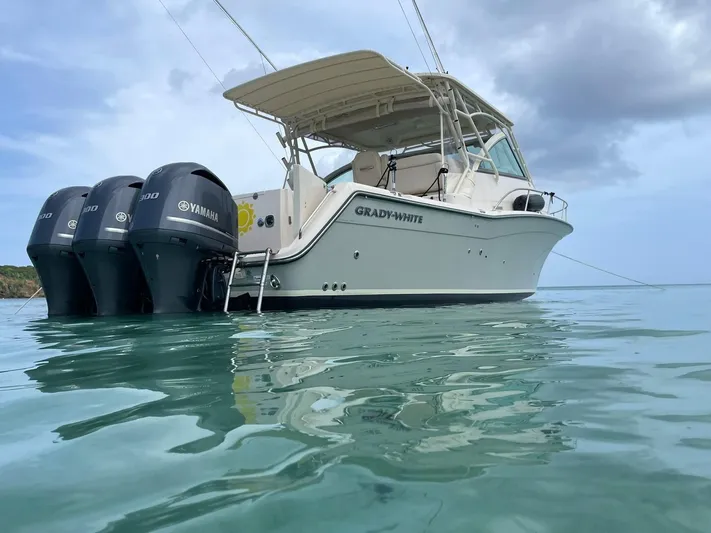  Yacht Photos Pics 