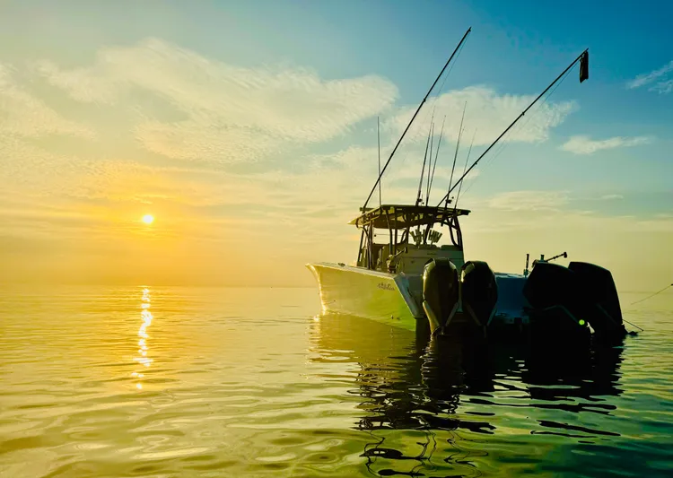 Tightline Yacht Photos Pics 