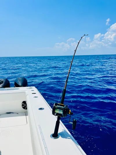 Tightline Yacht Photos Pics 