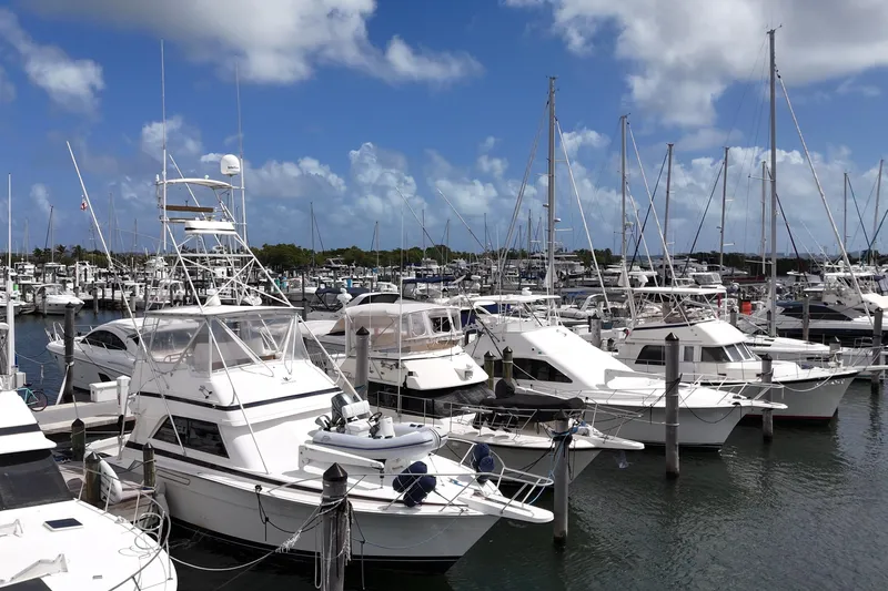  Yacht Photos Pics 1988 Bertram 43 Flybridge yacht docked in a bustling marina under a clear blue sky.