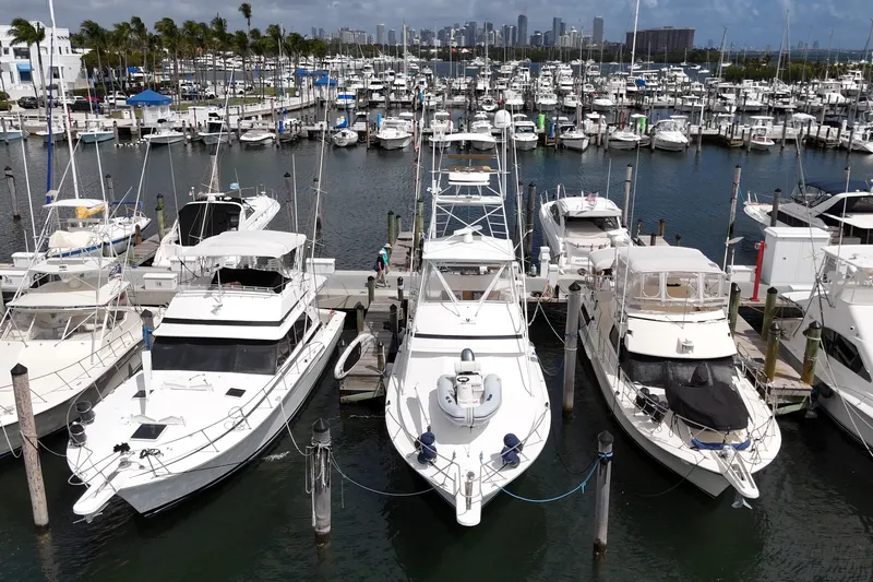  Yacht Photos Pics Marina with 1988 Bertram 43 Flybridge among docked boats, city skyline in background.