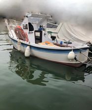 2002 Pilotina anaconda
