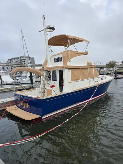 Juju Yacht Photos Pics 
