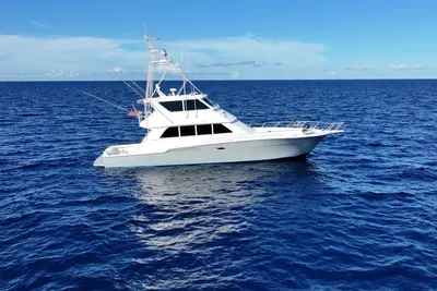 Viking Enclosed Bridge