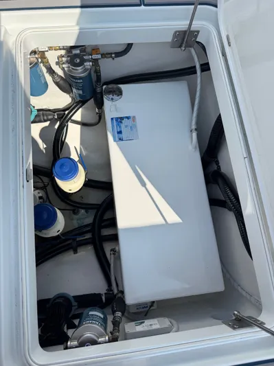 Four Boys Yacht Photos Pics 