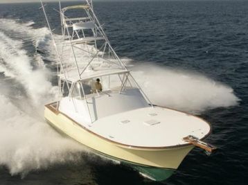 Buddy Davis 48 Express