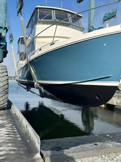 Bon Vivant Yacht Photos Pics 