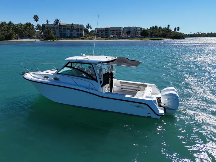  Yacht Photos Pics 2015 Boston Whaler 315 Conquest boat on clear blue water near a tropical shoreline.