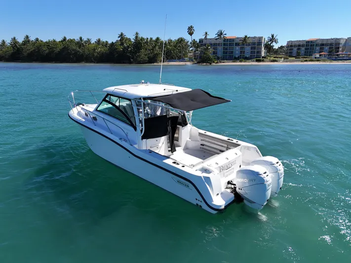  Yacht Photos Pics 2015 Boston Whaler 315 Conquest boat on clear blue water near a tropical shoreline.