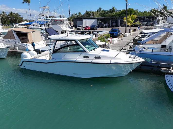  Yacht Photos Pics 2015 Boston Whaler 315 Conquest docked in a marina, surrounded by other boats.
