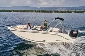 2024 Bayliner Element M19
