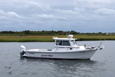 Steiger Craft 255DV Miami