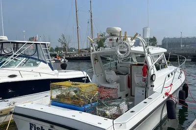 Albin 28 Tournament Express