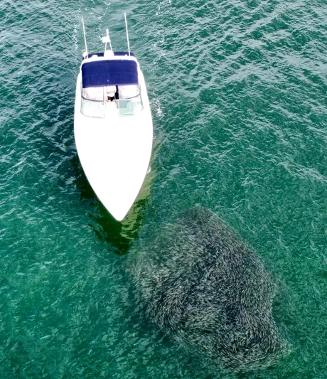 Blue Water Yacht Photos Pics 