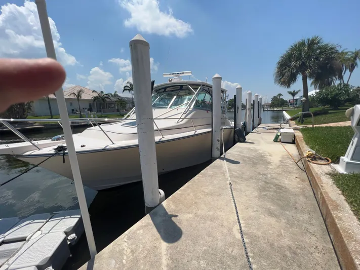  Yacht Photos Pics 2006 Grady-White 360 Express docked under a clear blue sky.
