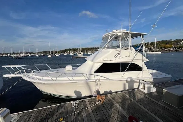 2001 Egg Harbor 42 SportYacht docked at a marina under a clear blue sky.