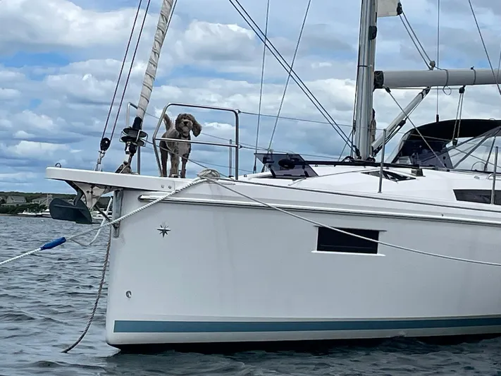 Shaz Yacht Photos Pics Dog on Jeanneau Sun Odyssey 410 sailboat, 2020 model, anchored on a cloudy day.