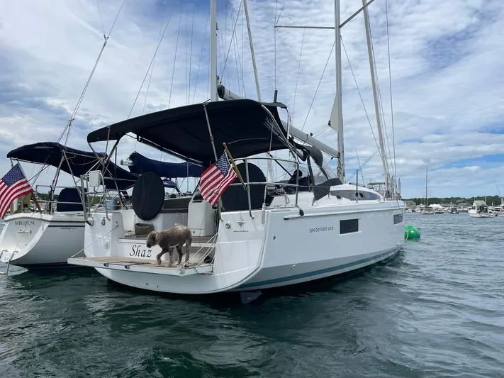 Shaz Yacht Photos Pics 2020 Jeanneau Sun Odyssey 410 sailboat docked with dog on deck, displaying American flags.
