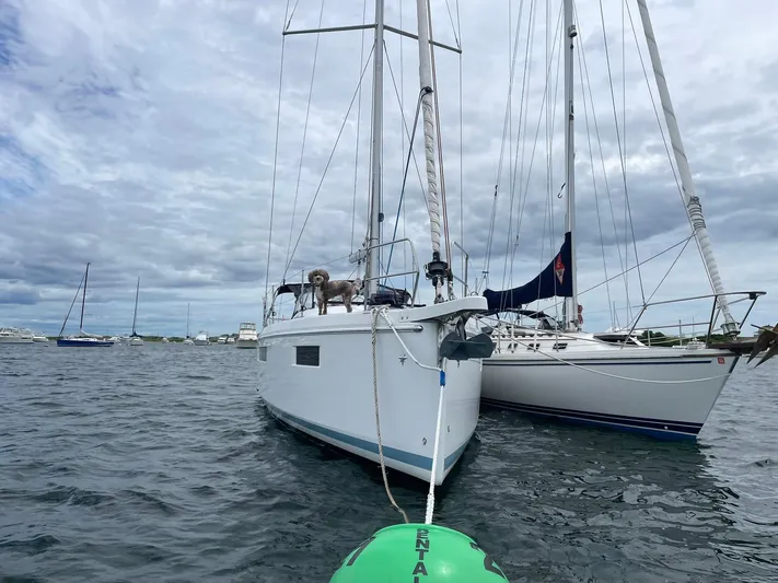 Shaz Yacht Photos Pics Jeanneau Sun Odyssey 410 sailboat with a dog on deck, anchored in a marina, 2020 model.