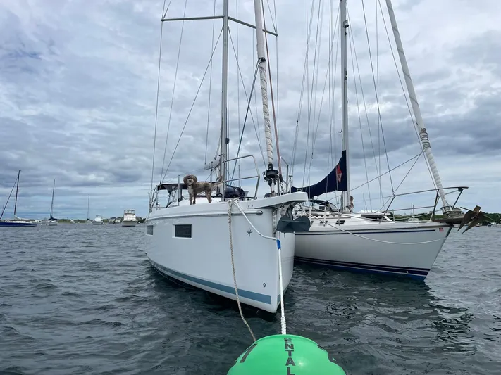 Shaz Yacht Photos Pics Jeanneau Sun Odyssey 410 sailboat with a dog on deck, anchored in a marina, 2020 model.