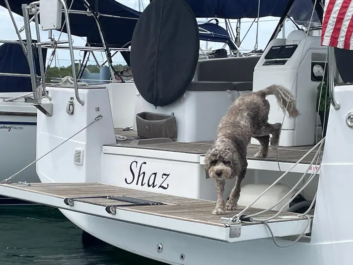 Shaz Yacht Photos Pics 