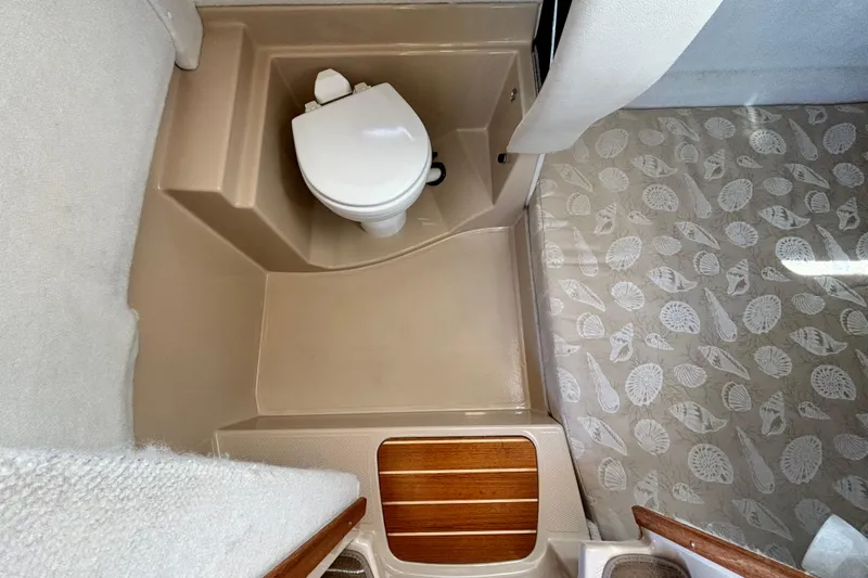  Yacht Photos Pics 2015 Ranger Tugs R-31 CB bathroom with toilet and patterned floor mat.