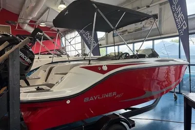 Bayliner Element M17
