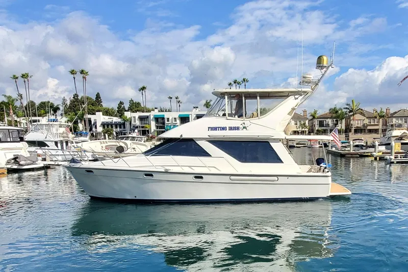Fighting Irish Yacht Photos Pics 