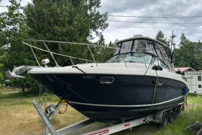 Sea Ray 290 Amberjack