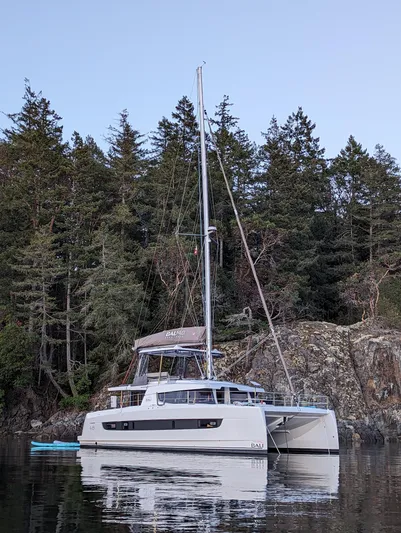 Neve Yacht Photos Pics 2022 Bali 4.6 catamaran anchored near forested shoreline.