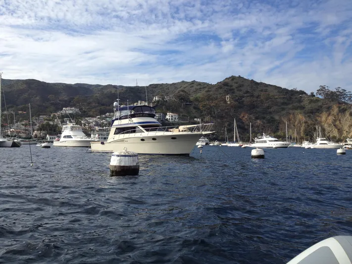 Fischl Yacht Photos Pics 