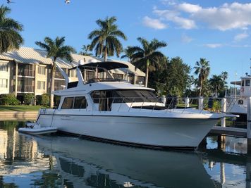 Navigator Classic 53