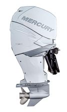 2023 Mercury F 250 XL AMS DS V8 CF (white)-verfügbar