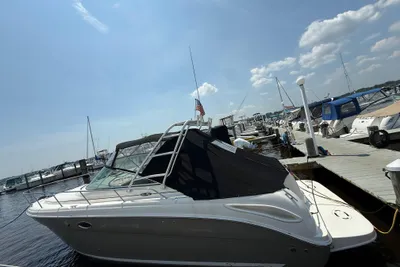 Sea Ray 290 Amberjack