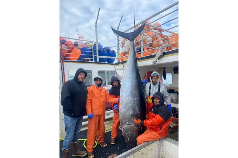 Nova Blue Yacht Photos Pics Five fishermen on a 1992 Commercial Long Liner with a large tuna catch.